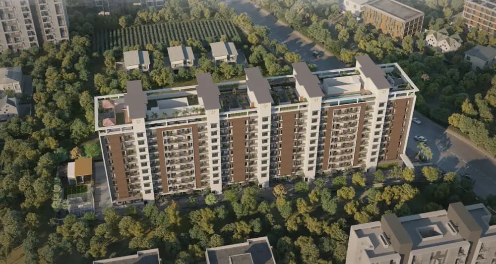 Bora Nova Stella Phase I