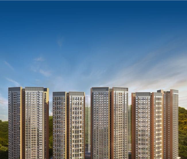 Geras Joy On The Tree Tops