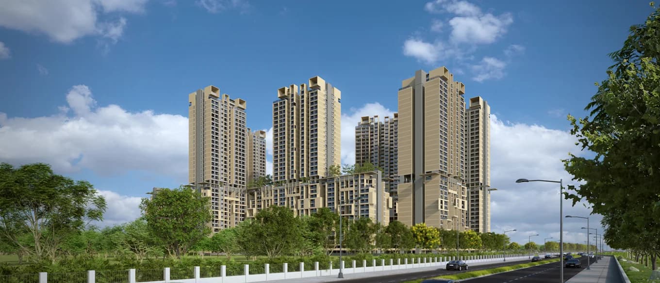 Rohan Ekam - Phase 1