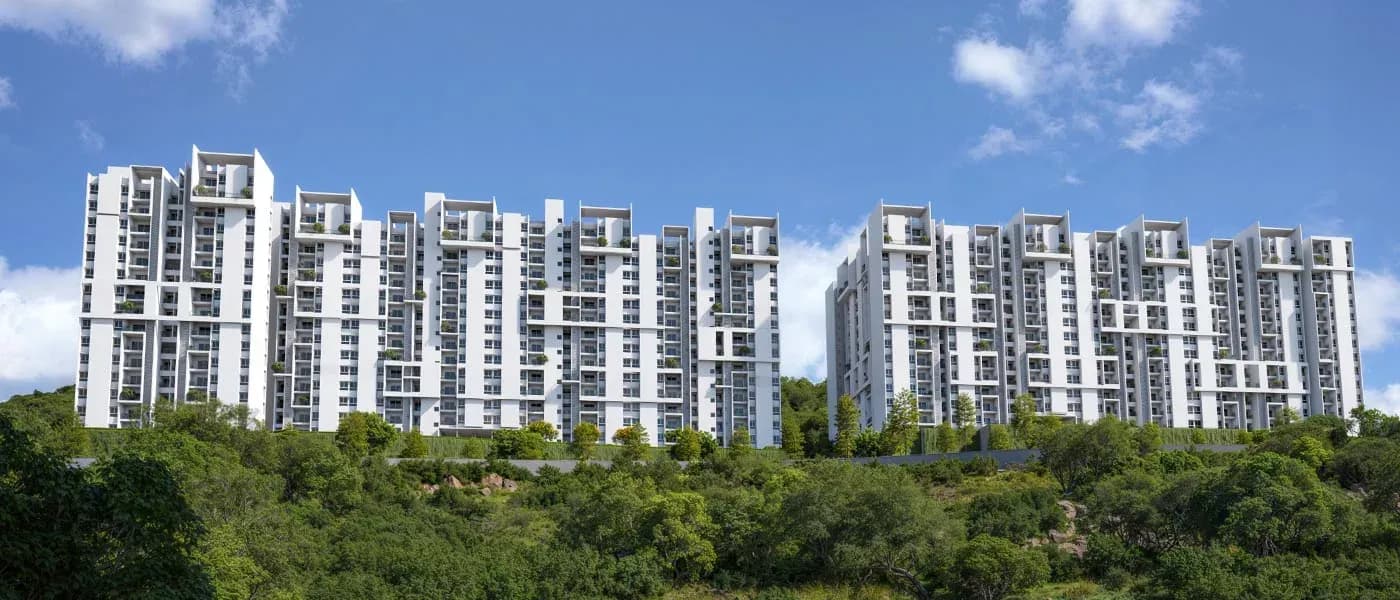 Rohan Saroha Phase 1