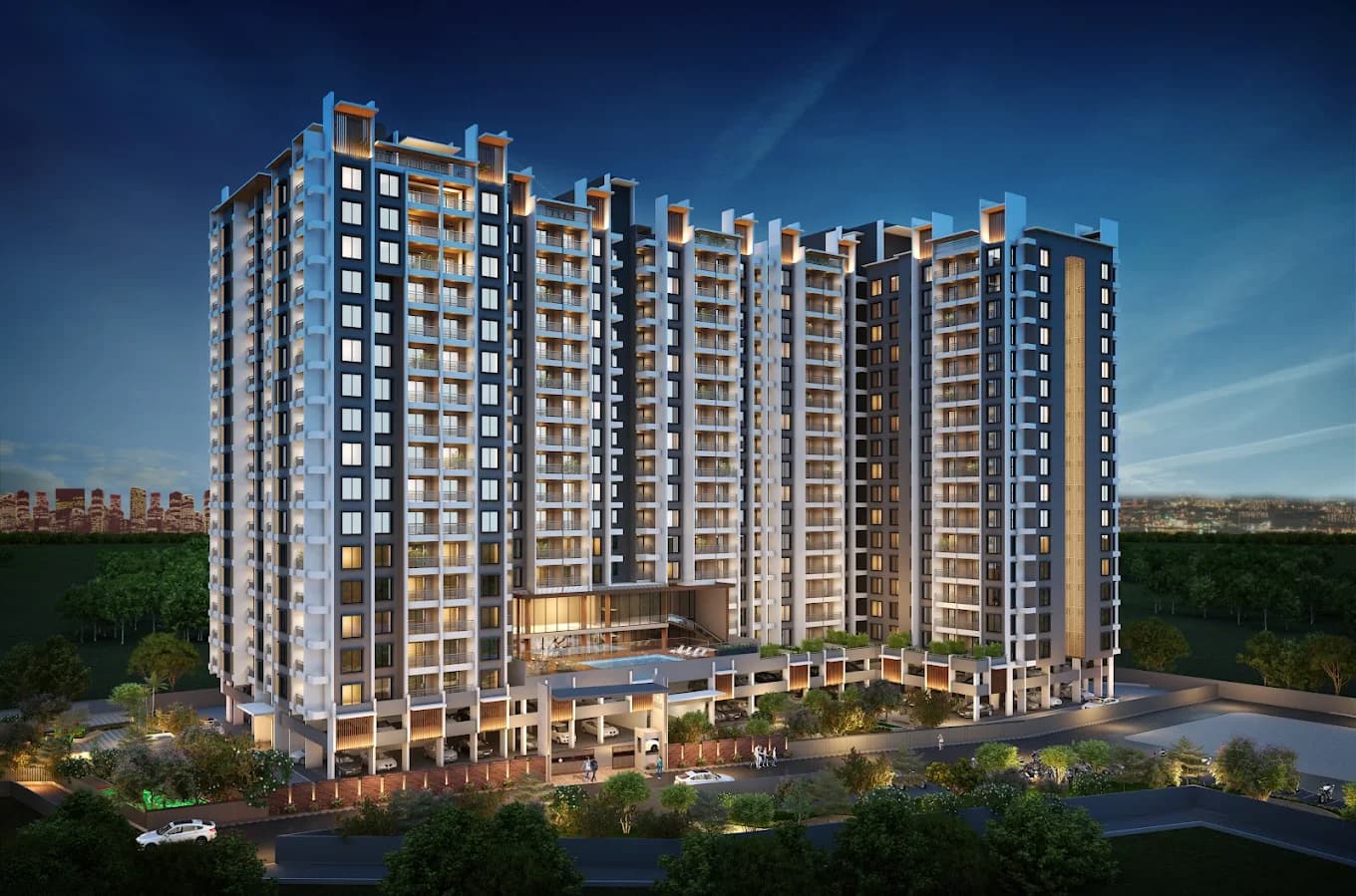 The Camelia Phase - 1